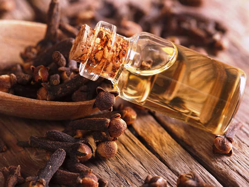 blog by-cosmetics эфирное масло гвоздики