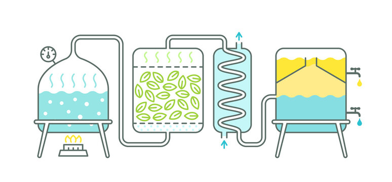 blog by-cosmetics эфирные масла