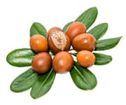 by-cosmetics argan oil