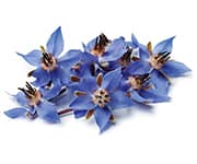 by-cosmetics Borago oil