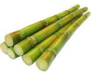 by-cosmetics Glycolic Acid