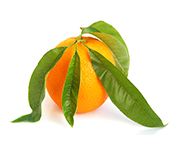 by-cosmetics orange oil