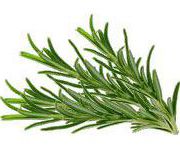 by-cosmetics Rosemary