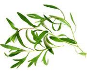 by-cosmetics Tea Tree